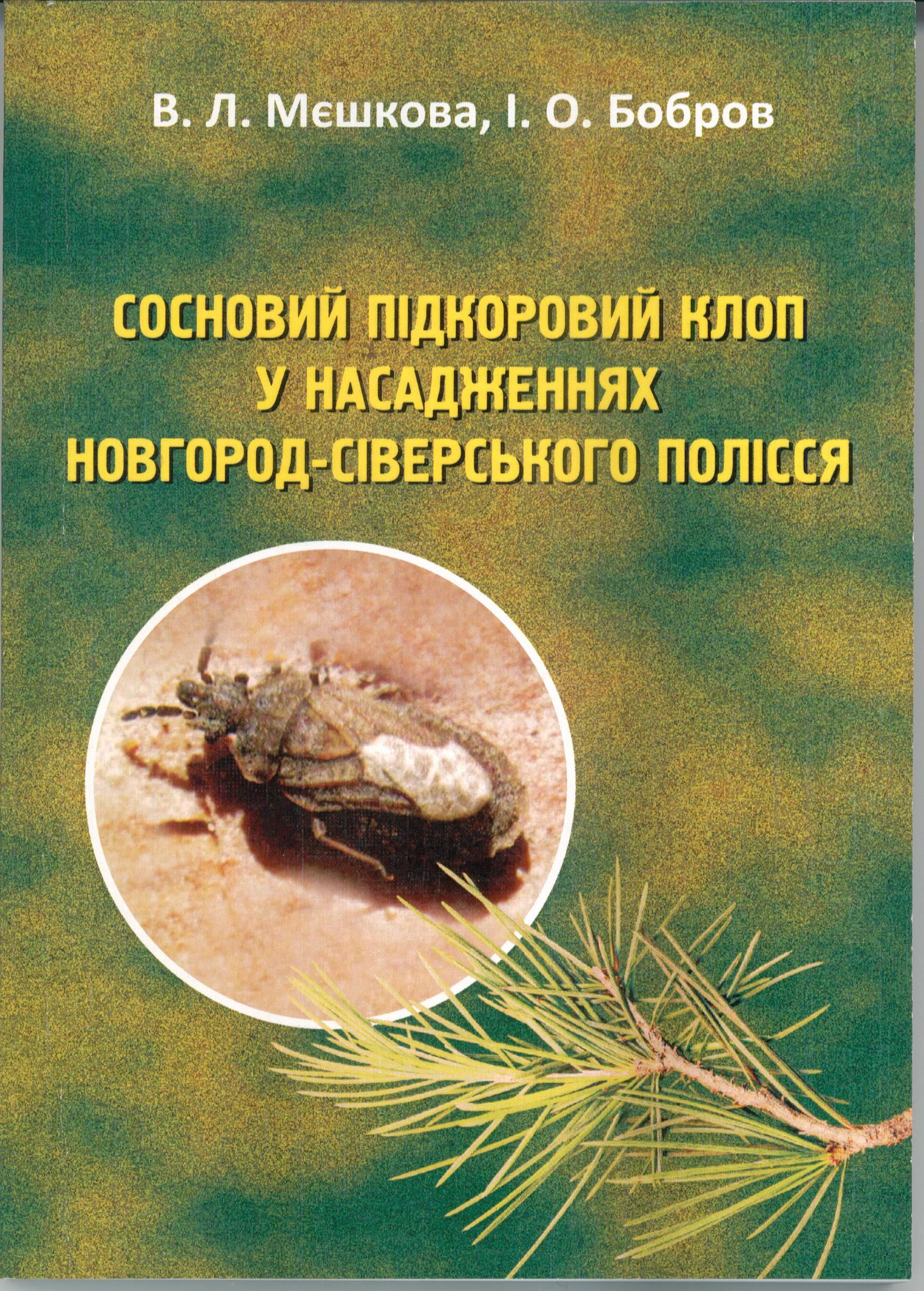 Сосновий підкоровий клоп у насадженнях Новгород-Сіверського Полісся