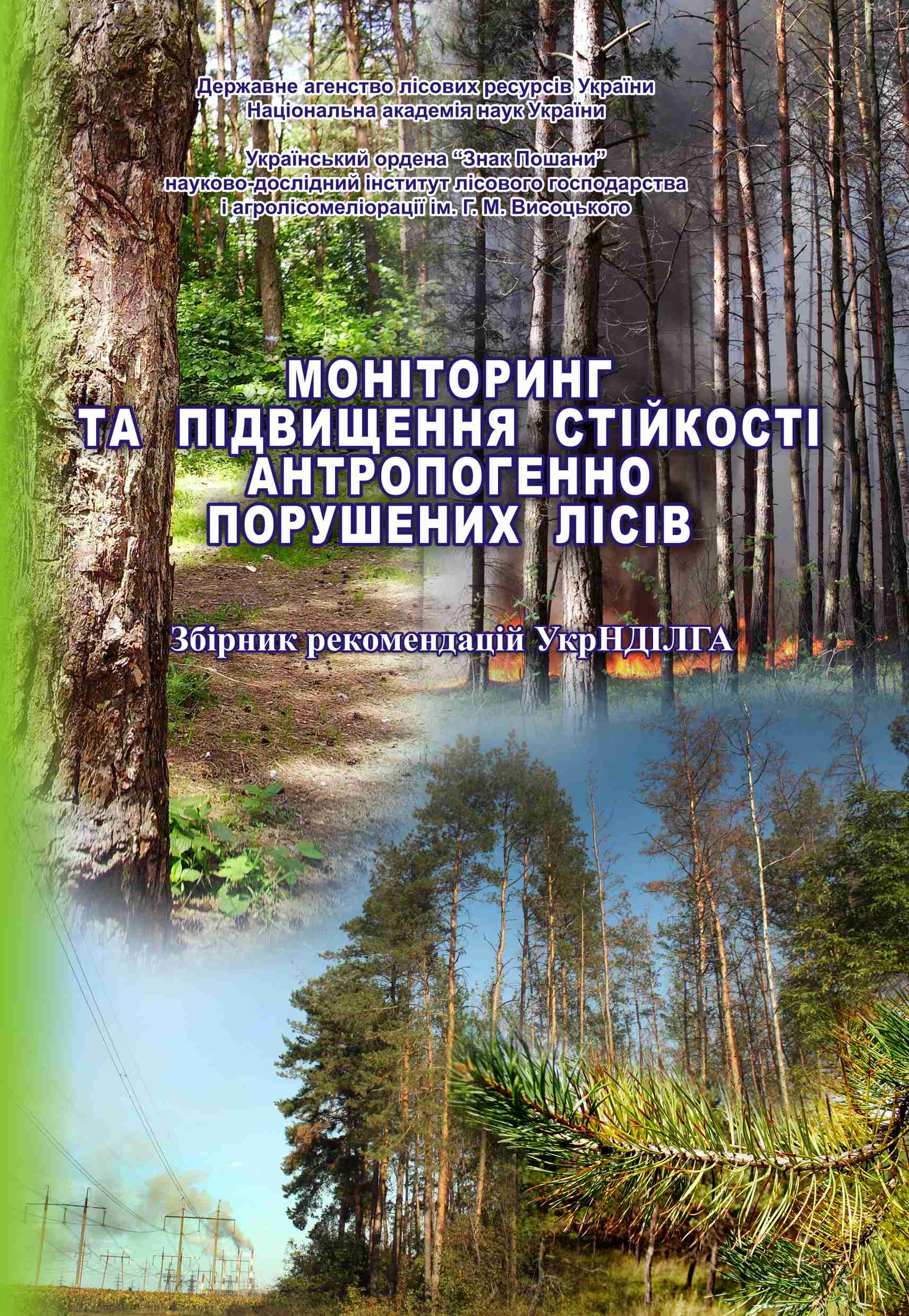 Моніторинг та підвищення стійкості антропотехногенно порушених лісів